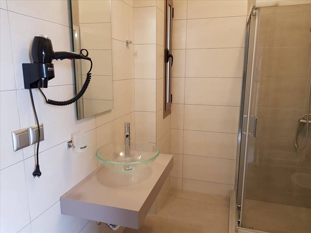 Hotel - Grekodom 36241|547781