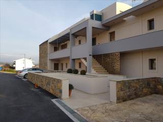 Hotel - Grekodom 36241|547797