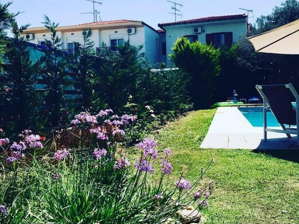 Hotel - Grekodom 35961|543984