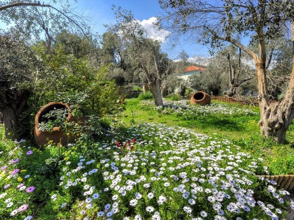 Other commercial - Grekodom 36156|546687