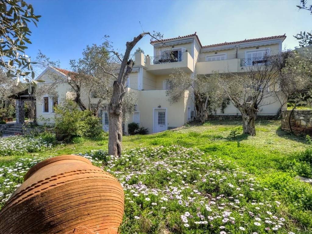 Other commercial - Grekodom 36156|546688