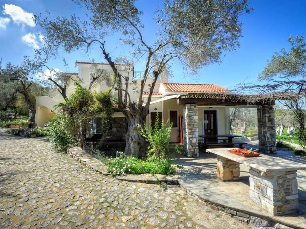 Other commercial - Grekodom 36156|546690