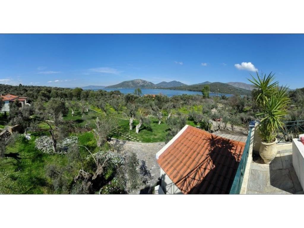 Other commercial - Grekodom 36156|546694