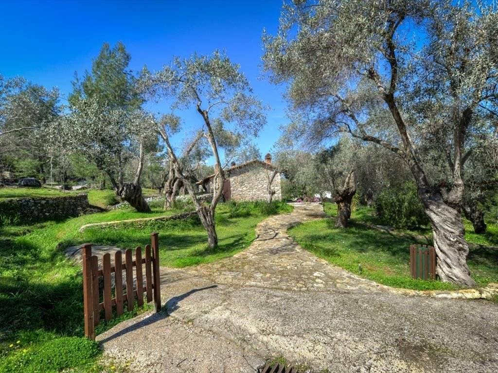 Other commercial - Grekodom 36156|546696