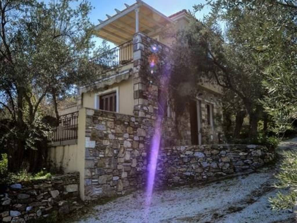 Other commercial - Grekodom 36156|546700