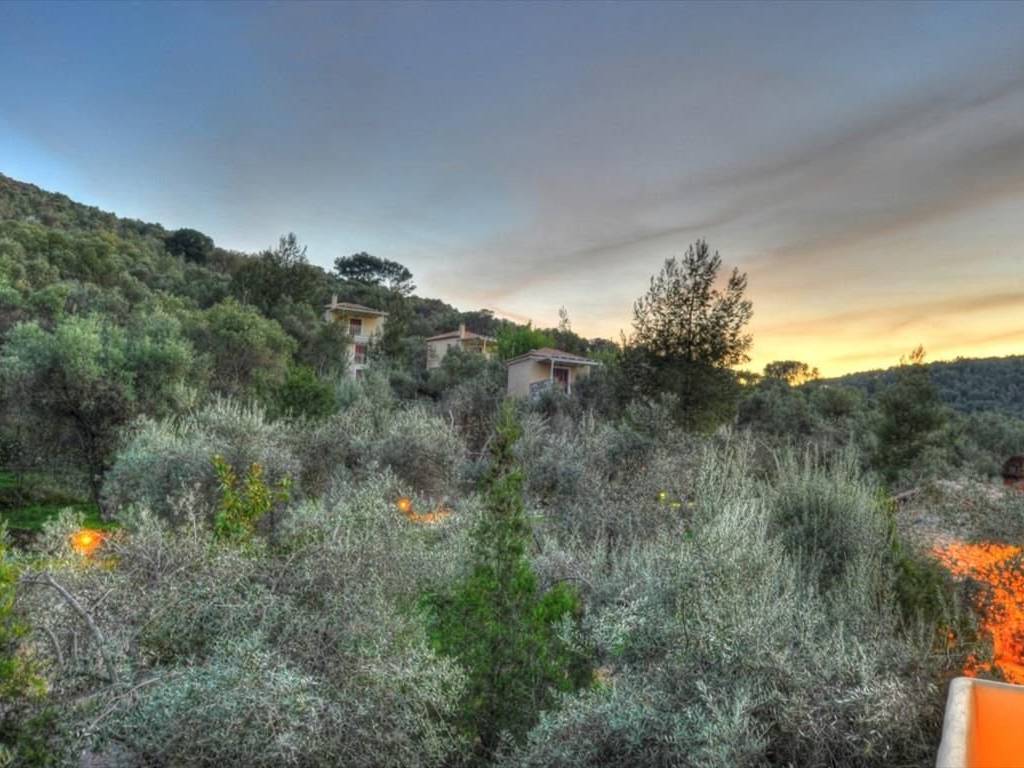 Other commercial - Grekodom 36156|546704