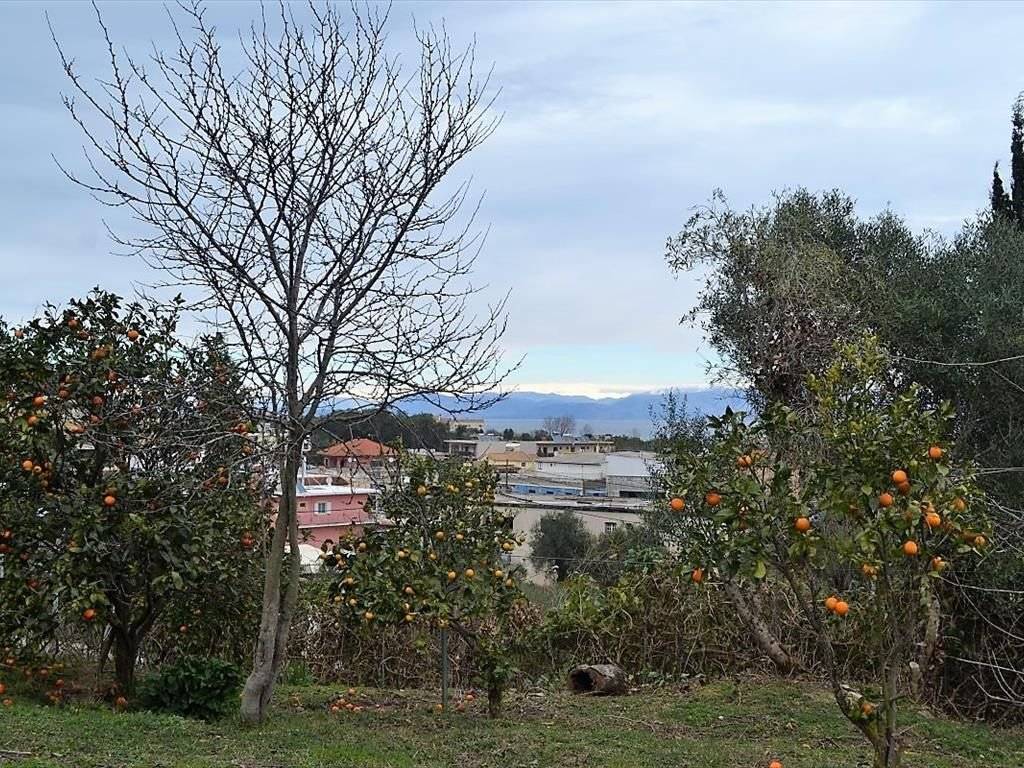 Plot - Grekodom 35781|541661