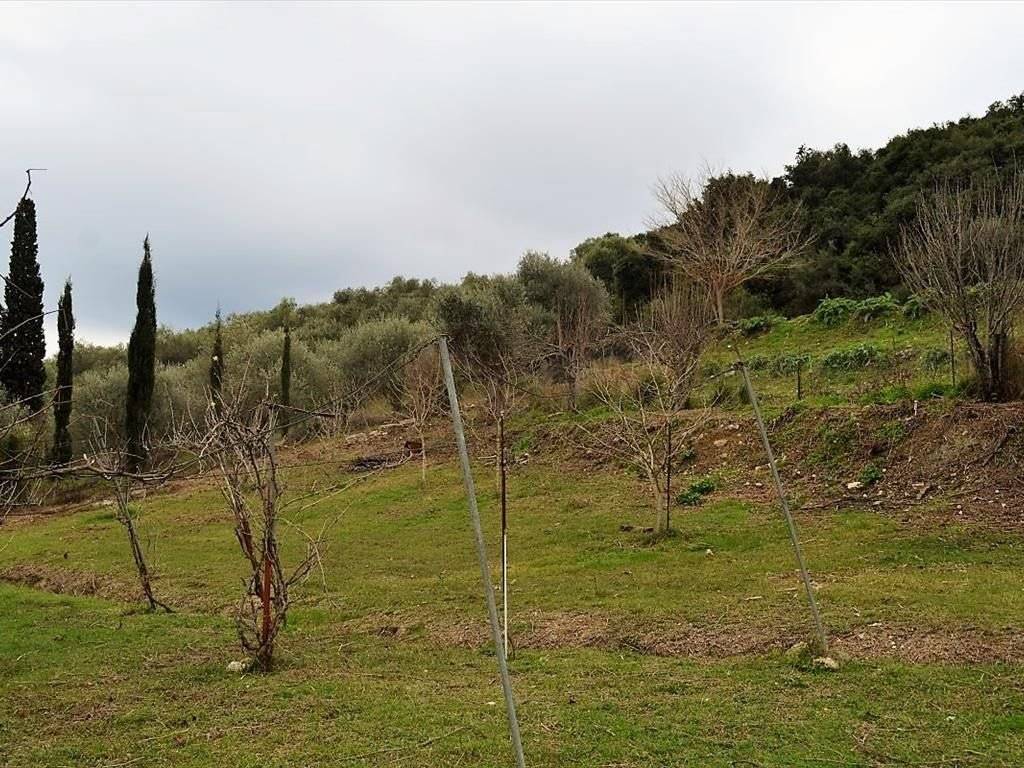 Plot - Grekodom 35781|541659