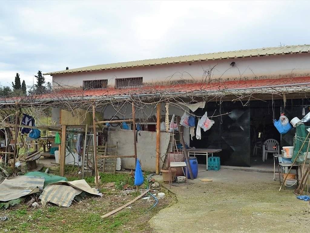 Plot - Grekodom 35781|541658