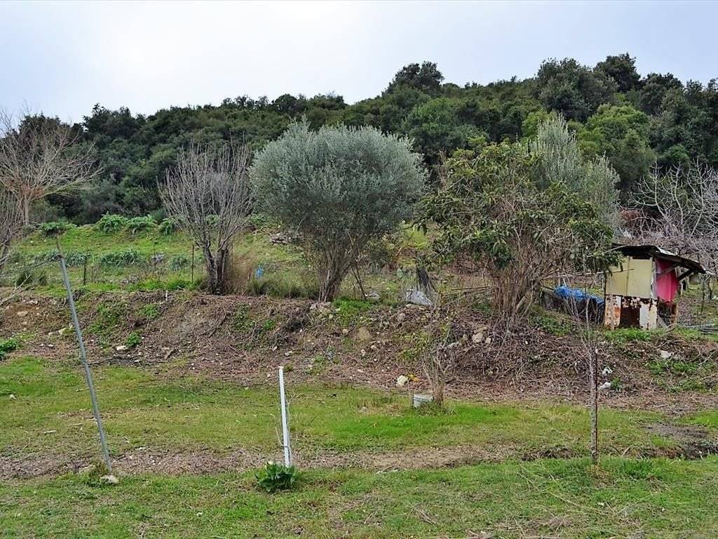 Plot - Grekodom 35781|541660