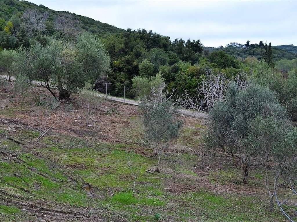 Plot - Grekodom 35781|541674