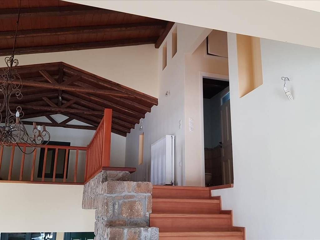 Villa - Grekodom 34875|531319