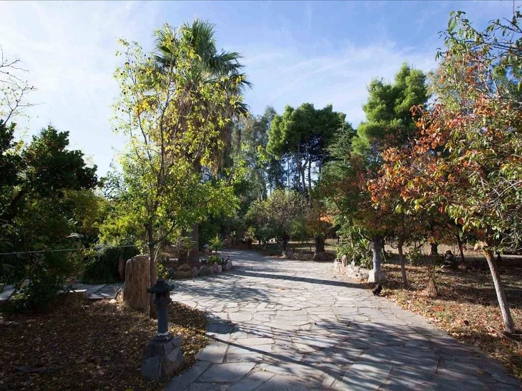 Villa - Grekodom 34772|527846