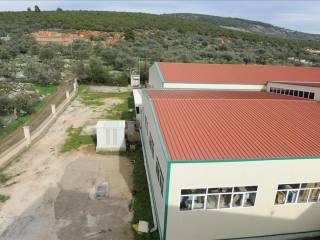 Building - Grekodom 34584|525274