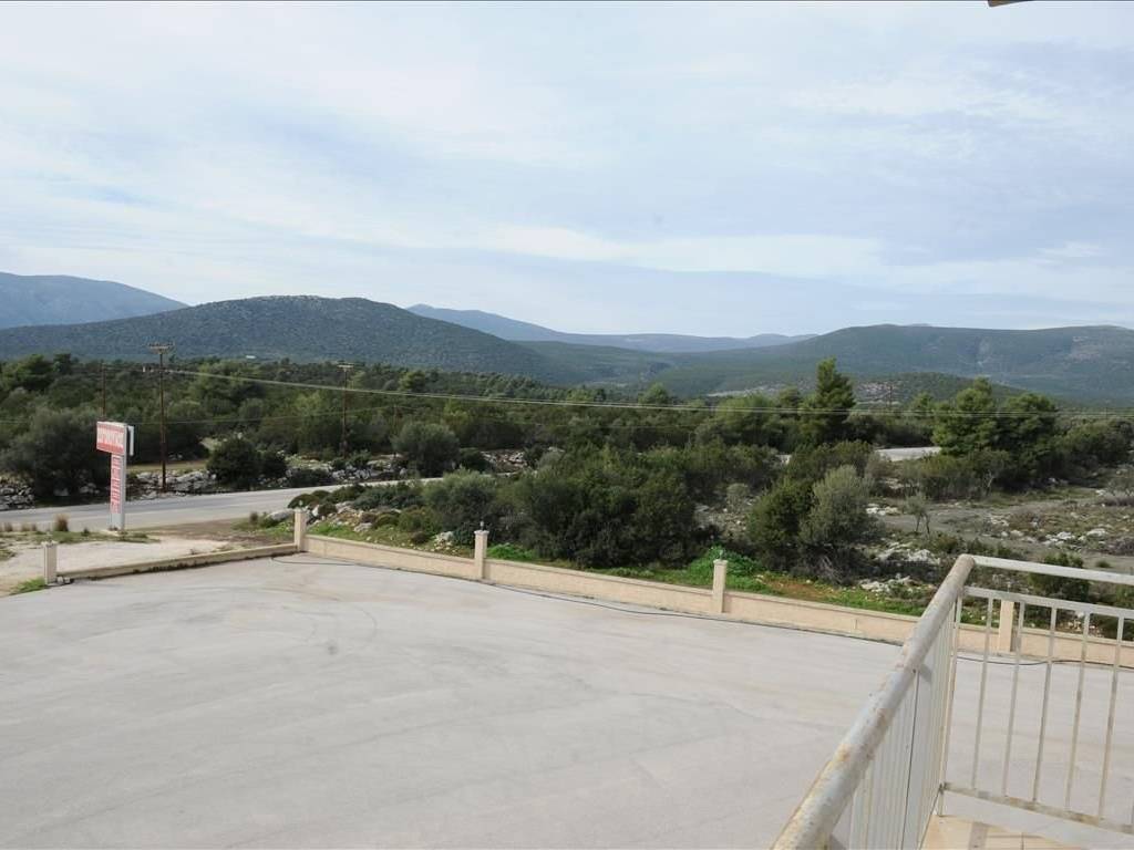 Building - Grekodom 34584|525271