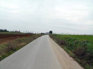 Plot - Grekodom 34395|526656