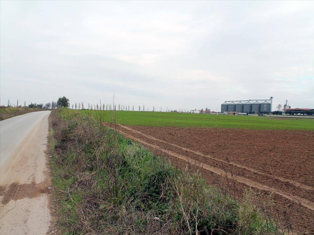 Plot - Grekodom 34395|526653