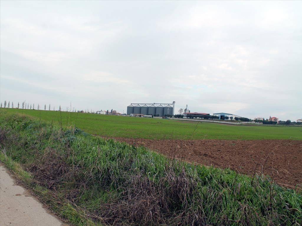 Plot - Grekodom 34395|526657