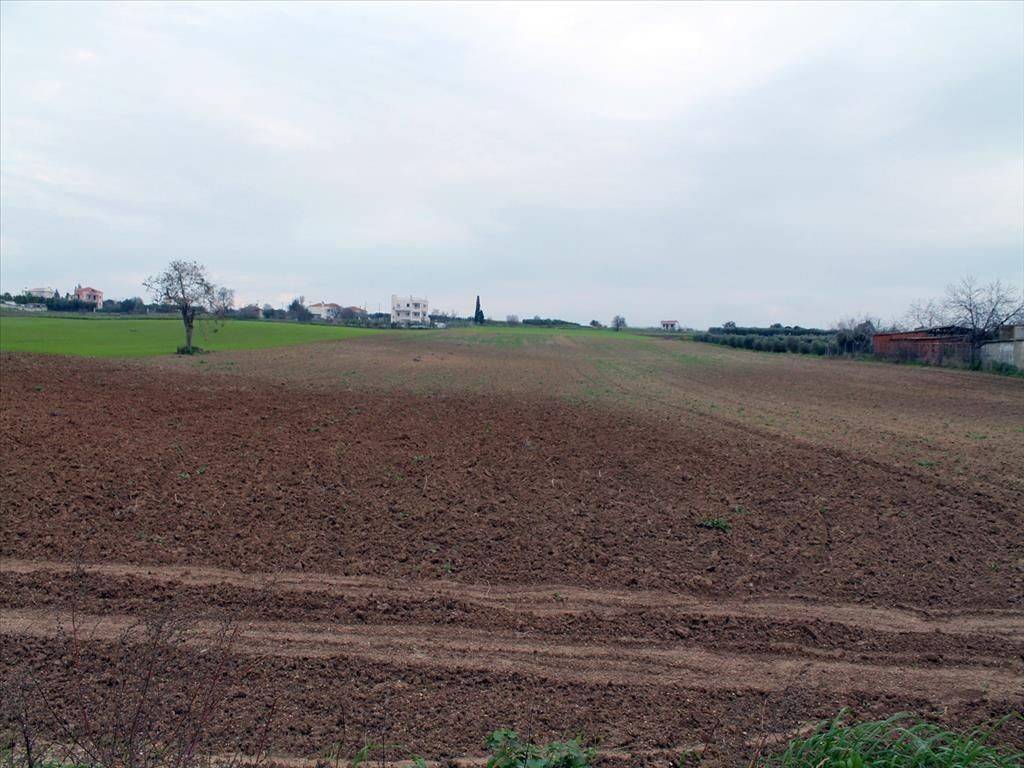 Plot - Grekodom 34395|526652