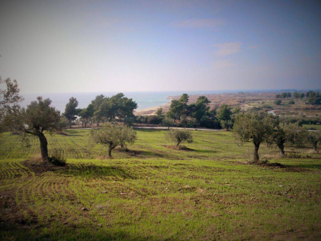 Plot - Grekodom 33771|514102