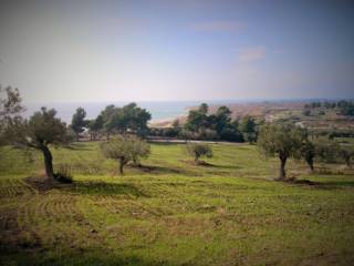 Plot - Grekodom 33771|514102