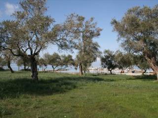 Plot - Grekodom 33337|508091