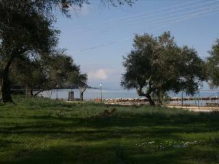 Plot - Grekodom 33337|508090