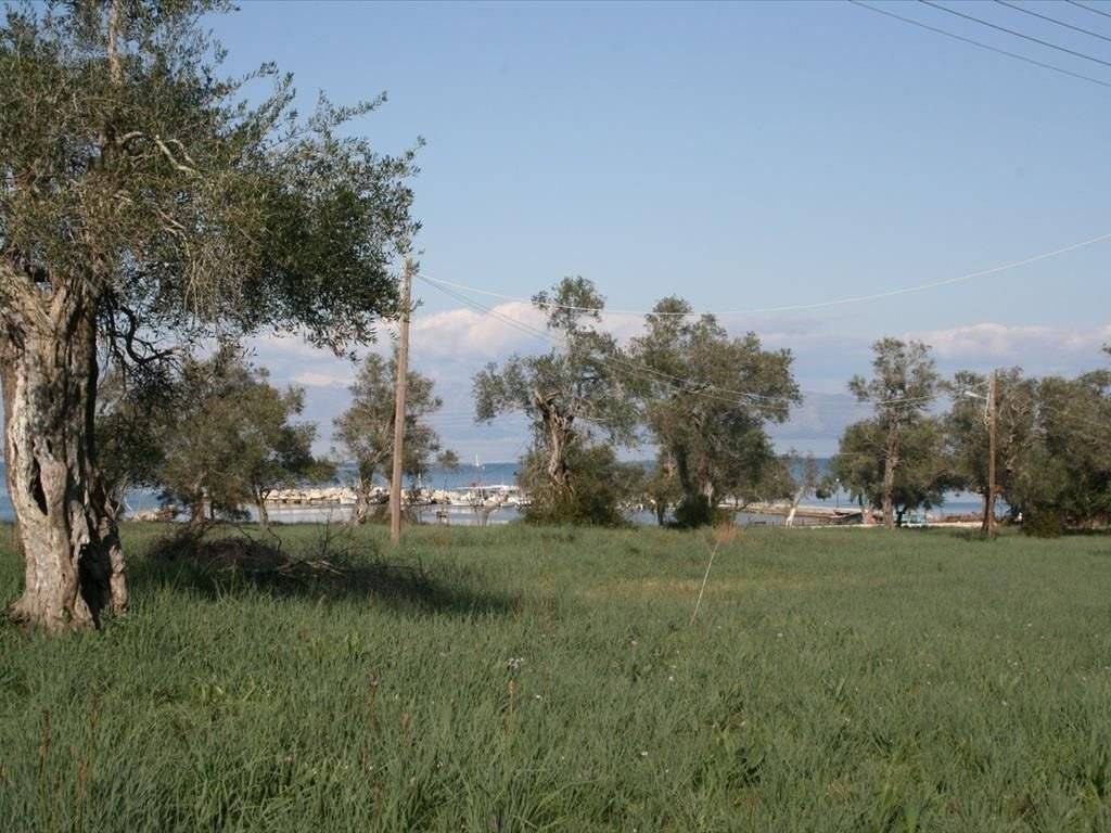 Plot - Grekodom 33337|508094