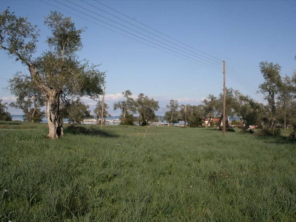 Plot - Grekodom 33337|508095