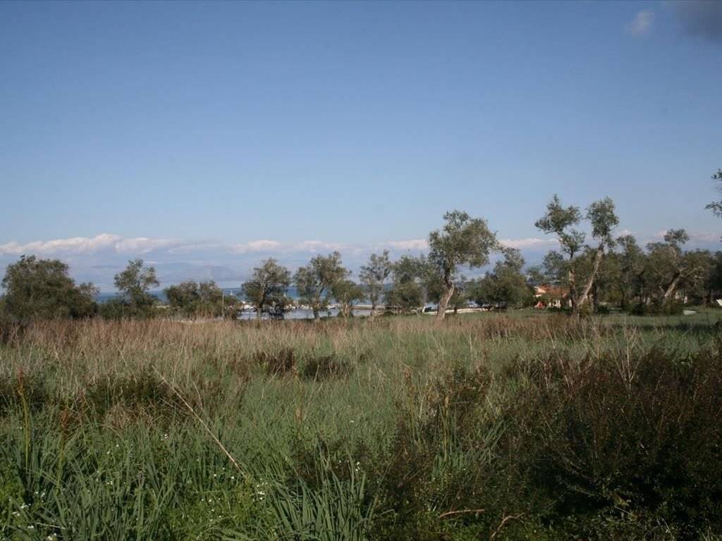 Plot - Grekodom 33337|508096