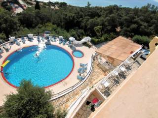 Hotel - Grekodom 33154|504691