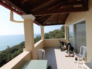 Hotel - Grekodom 33154|504699