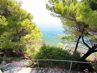 Hotel - Grekodom 33131|505556