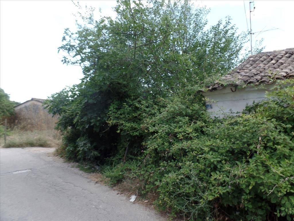 Plot - Grekodom 31964|485810