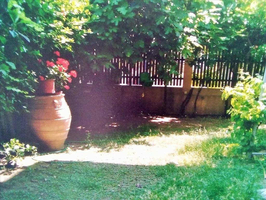 Building - Grekodom 32009|575030