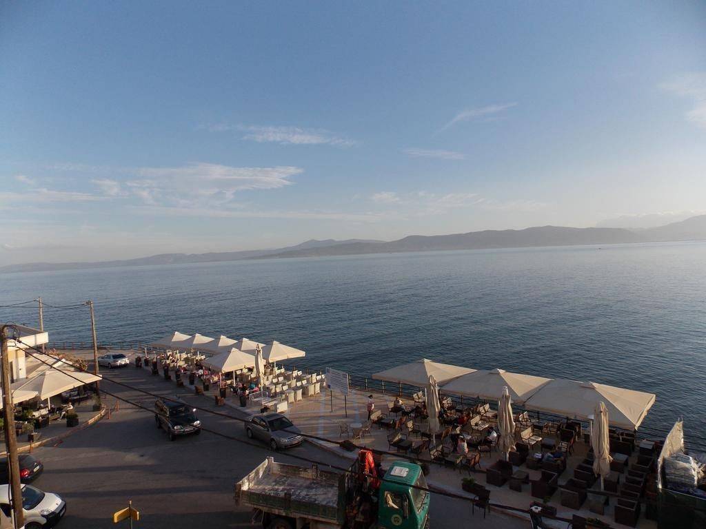 Hotel - Grekodom 31768|483129