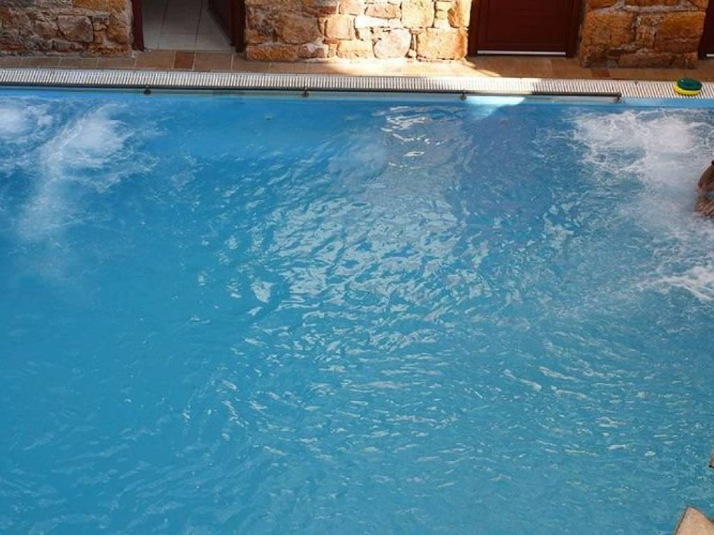 Hotel - Grekodom 31768|483150