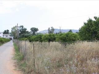 Plot - Grekodom 31624|481417