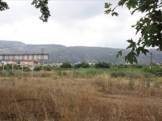 Plot - Grekodom 31624|481420