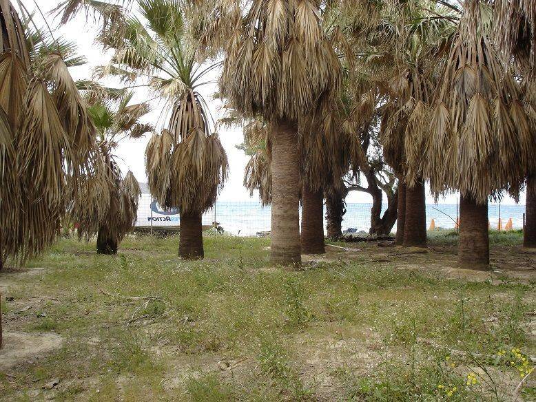 Plot - Grekodom 31641|481608