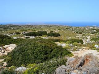 Plot - Grekodom 31239|475532