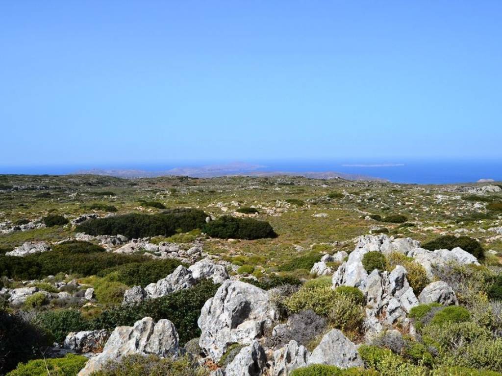 Plot - Grekodom 31239|475534