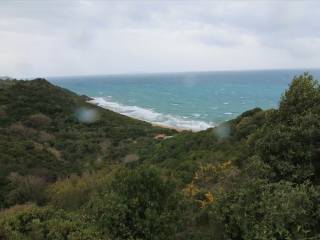 Plot - Grekodom 30793|469591