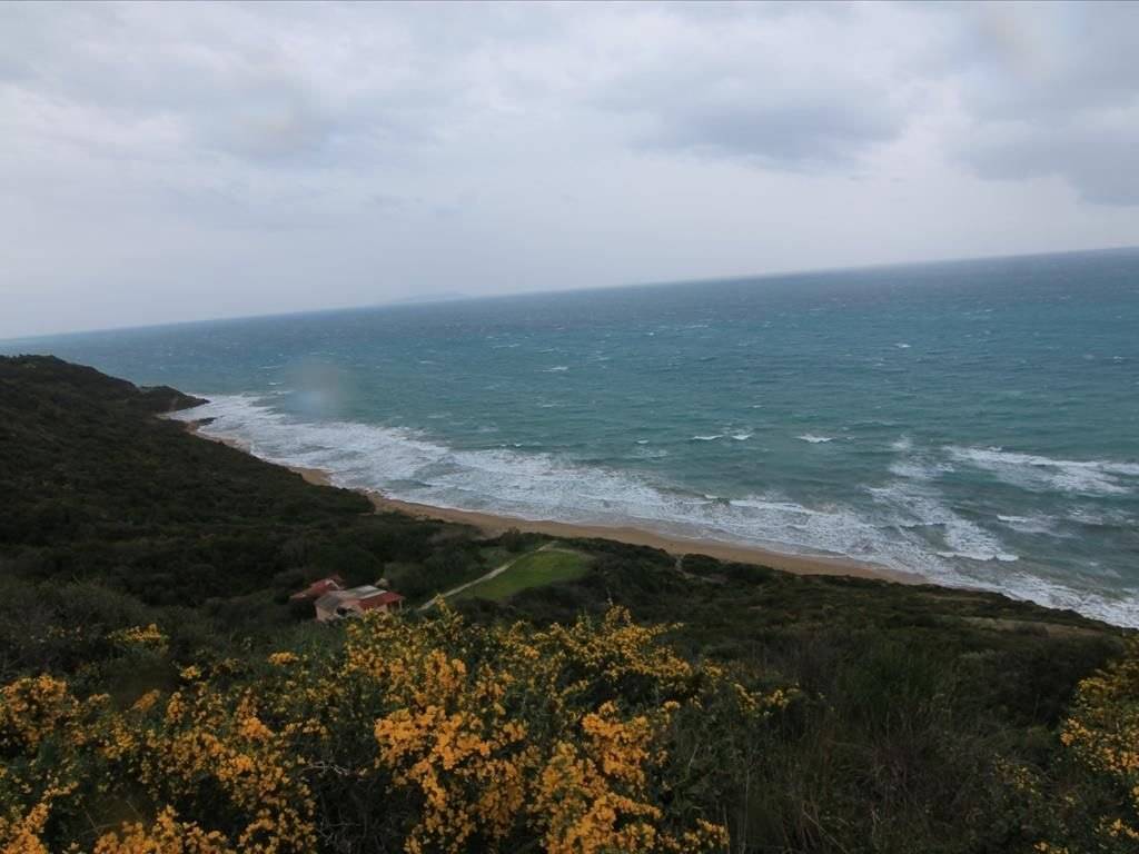 Plot - Grekodom 30793|469598