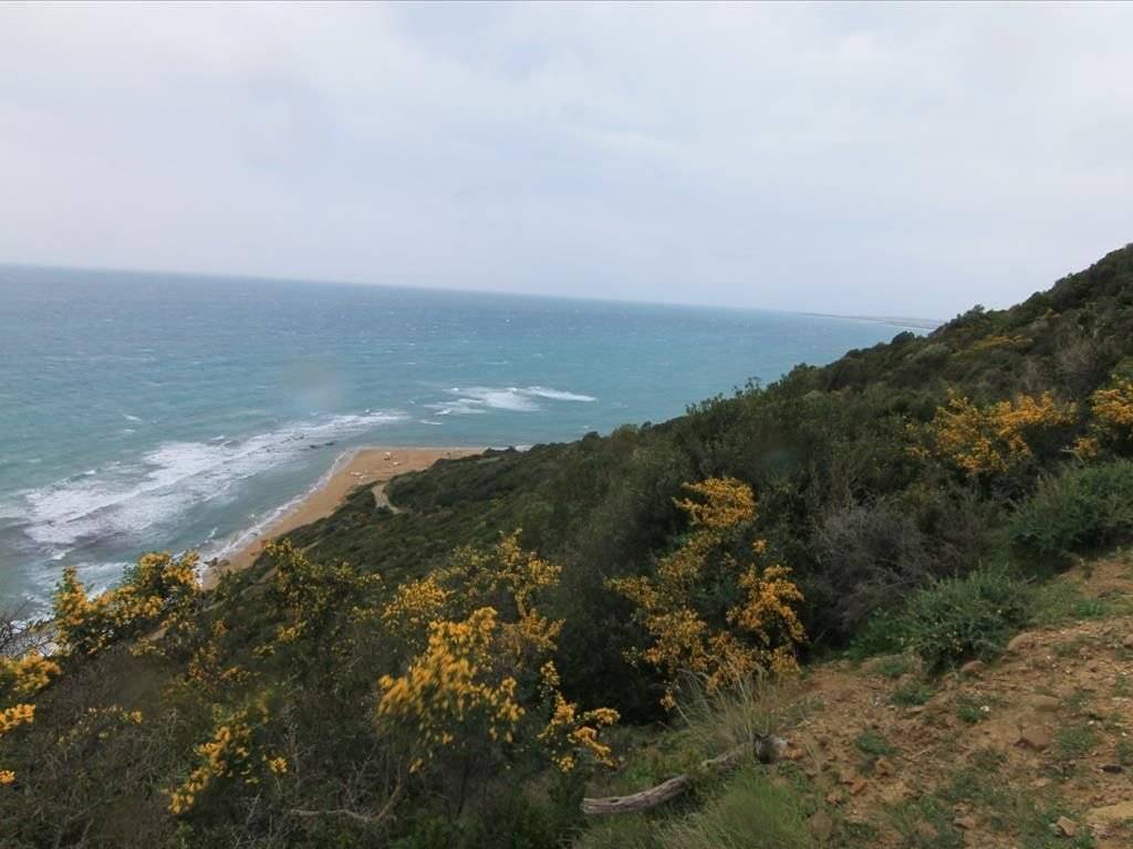 Plot - Grekodom 30793|469594