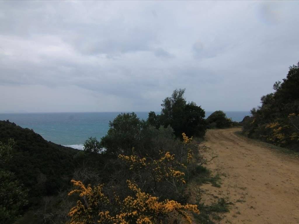 Plot - Grekodom 30793|469575