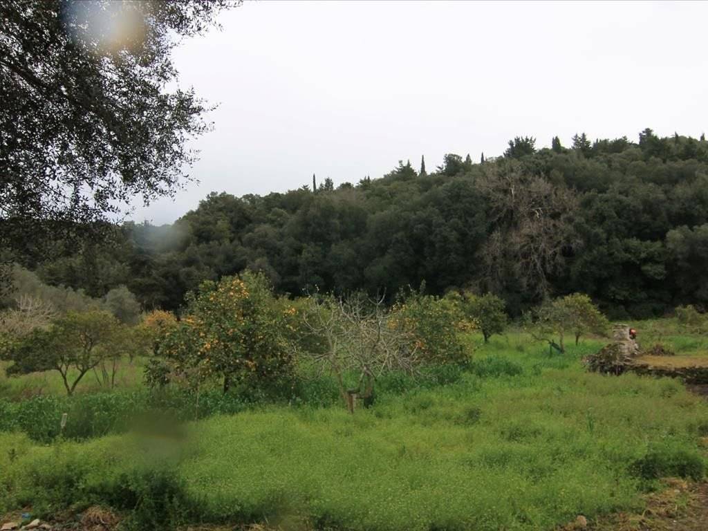 Plot - Grekodom 30793|469608