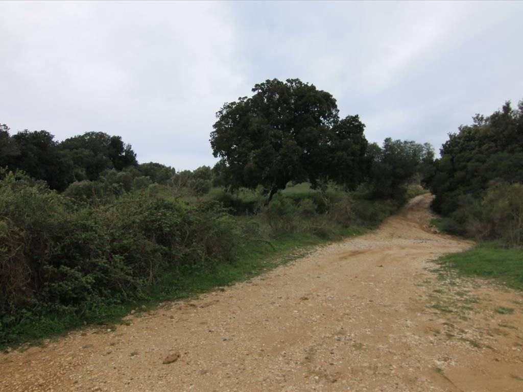 Plot - Grekodom 30793|469566