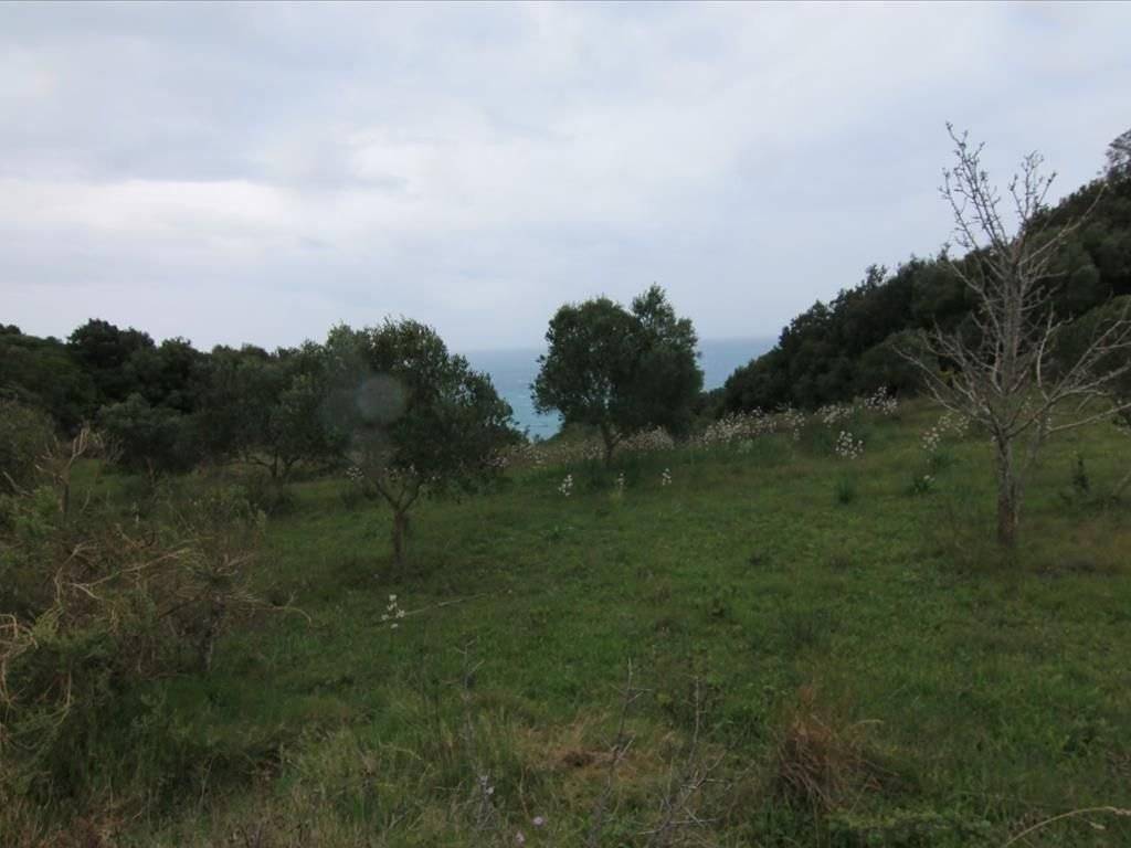 Plot - Grekodom 30793|469570