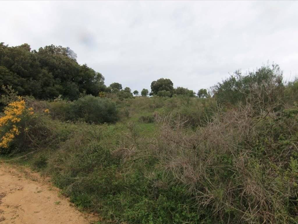 Plot - Grekodom 30793|469571